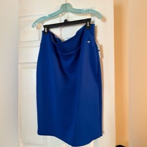 Elegant Blue Women's Skirt